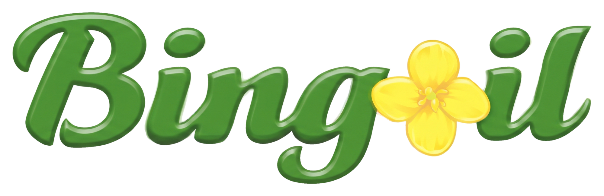 Bingoil