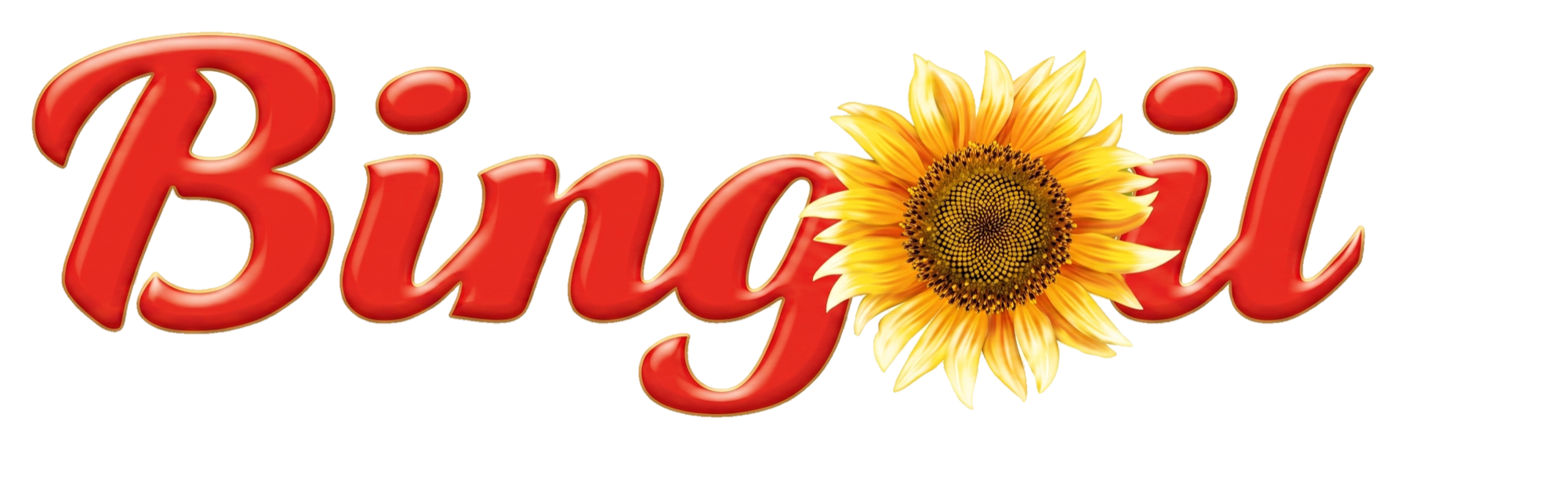 Bingoil