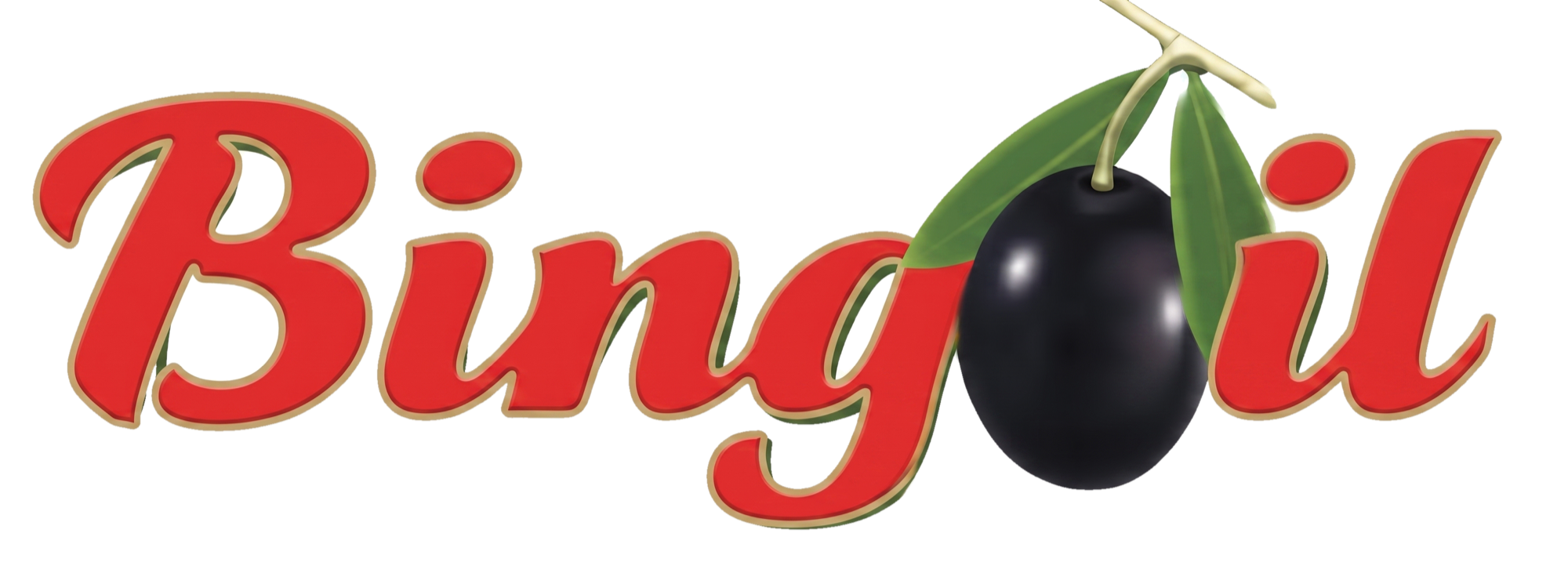 Bingoil