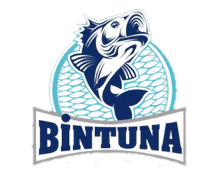 Bintuna
